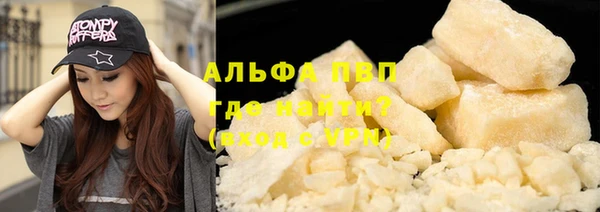 молекула духа Новокубанск