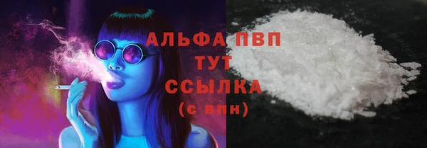 молекула духа Новодвинск