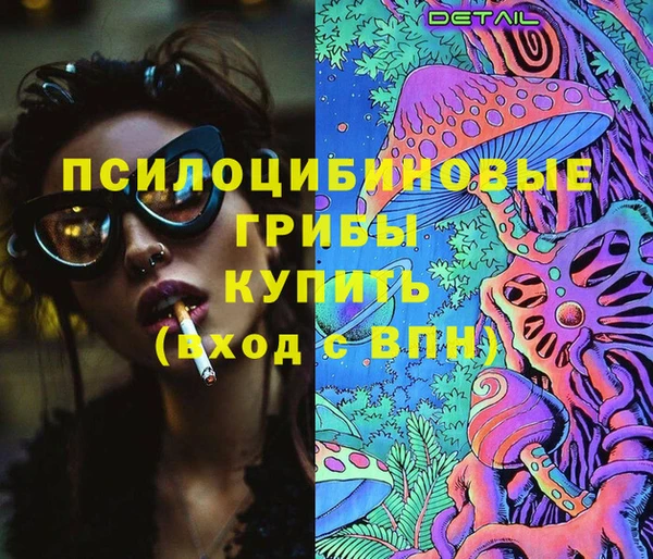 крисы Новозыбков