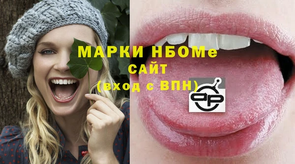 молекула духа Новодвинск