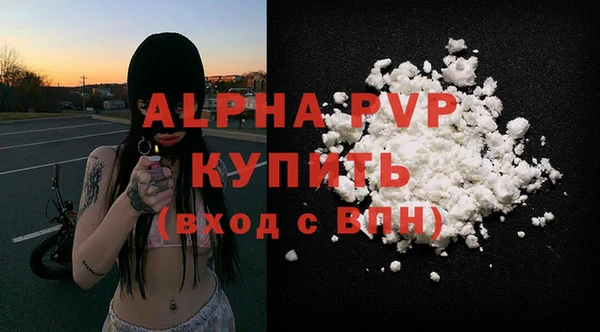 крисы Новозыбков