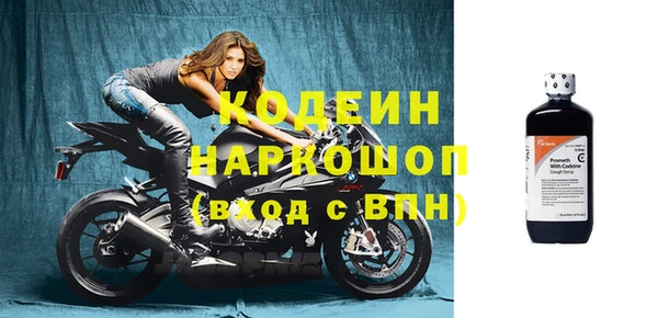молекула духа Новодвинск
