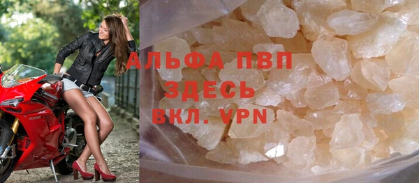 крисы Новозыбков