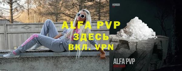 крисы Новозыбков
