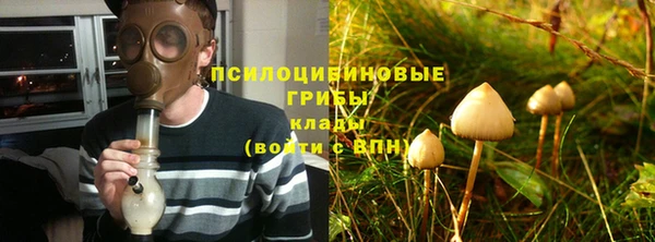 крисы Новозыбков