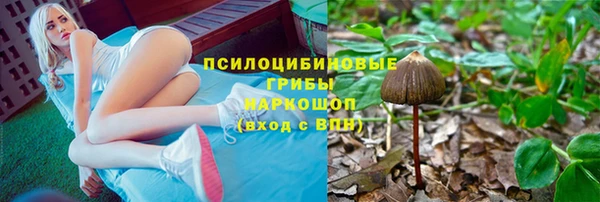 молекула духа Новодвинск
