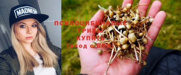 молекула духа Новокубанск