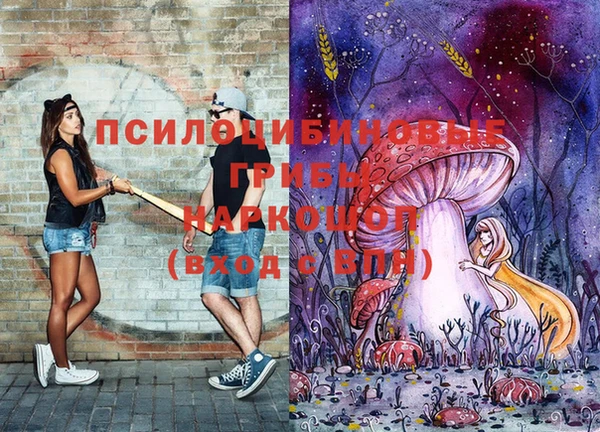 крисы Новозыбков