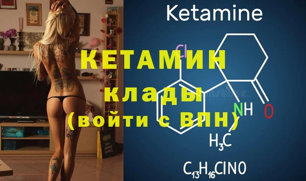 крисы Новозыбков