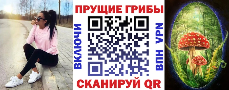 Псилоцибиновые грибы ЛСД  где купить   кракен как зайти  Разумное 